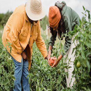 Market gardener – Le Marché Bio de Saint-Jeannet